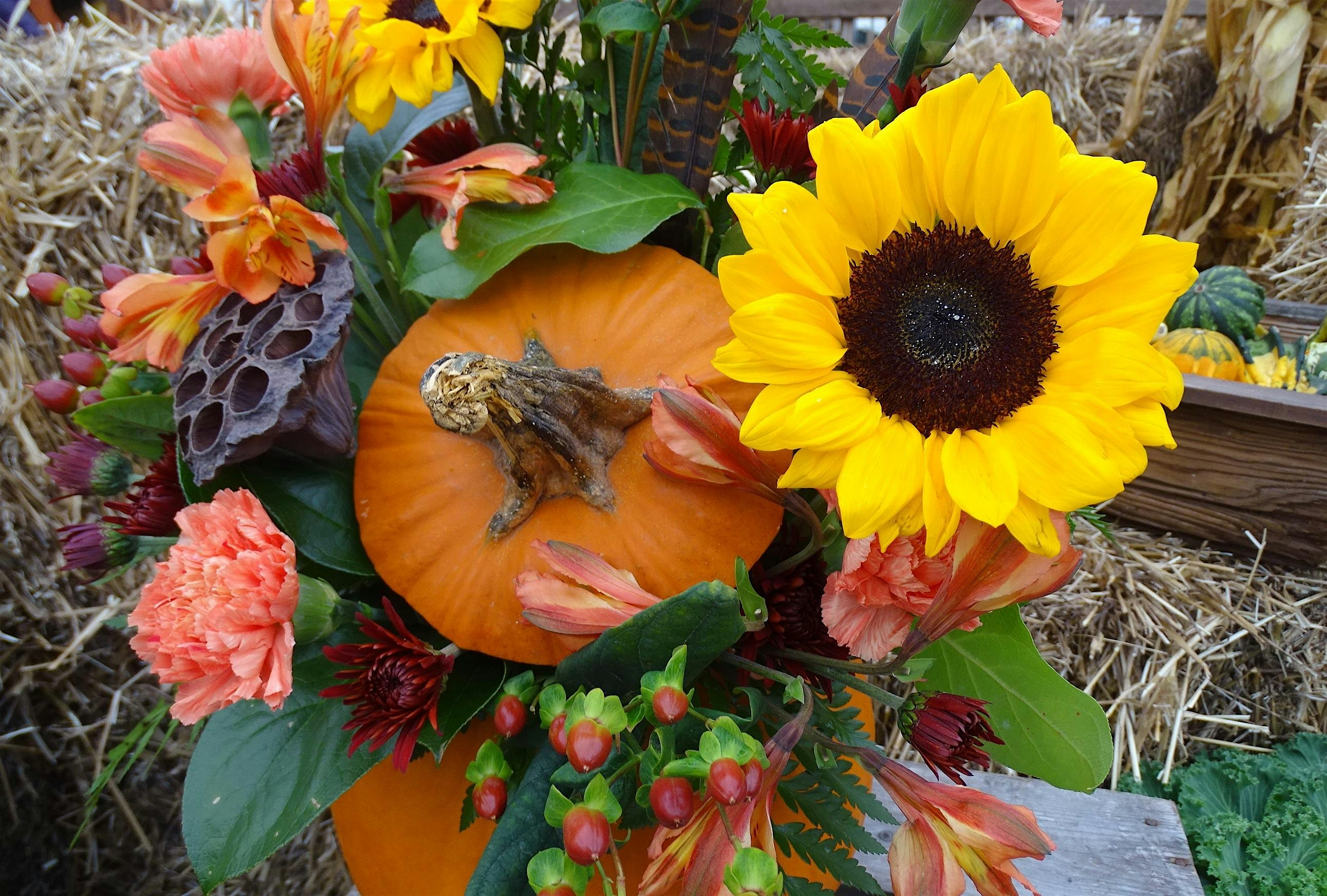 Pumpkin Floral Arrangement – North Wales, PA