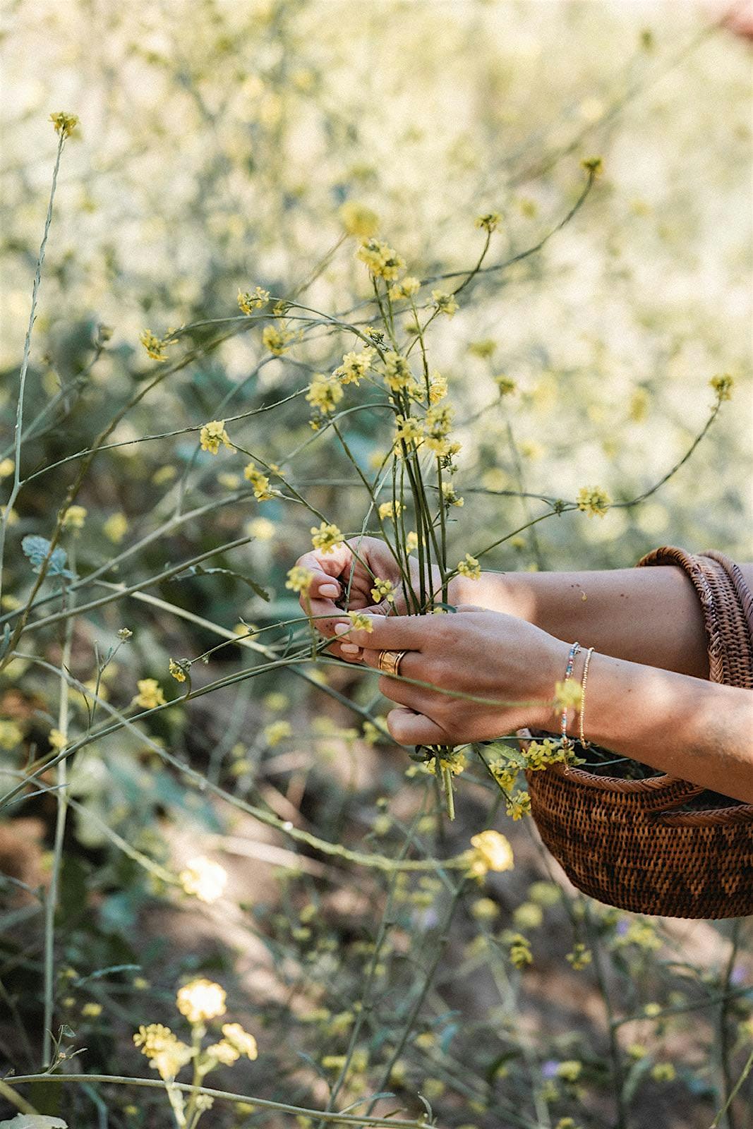 Fall To Gather: Yoga, Native Herb Walk, Sound Bath, and Seasonal Meal – Laguna Beach, CA