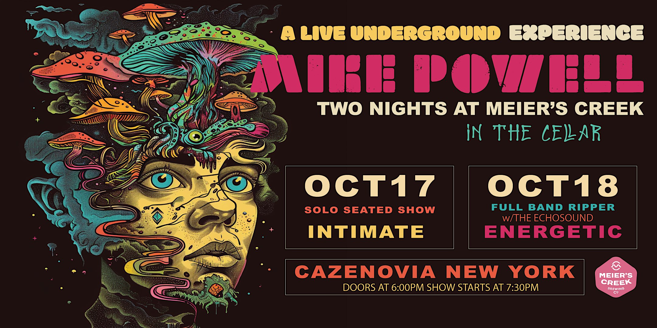 Mike Powell Live in the Cellar *NIGHT 2 – FULL BAND* – Cazenovia, NY