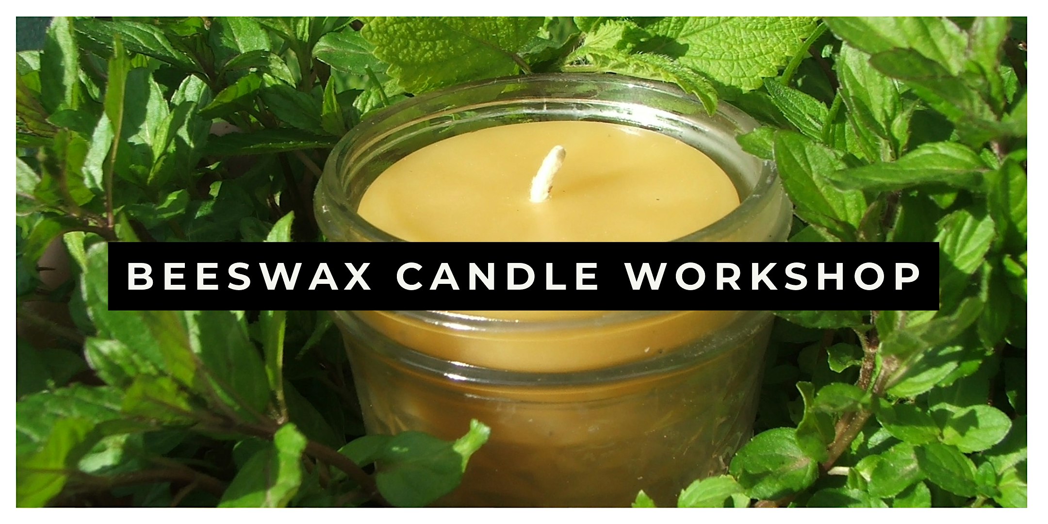 Beeswax Candle Workshop – Goshen, NY