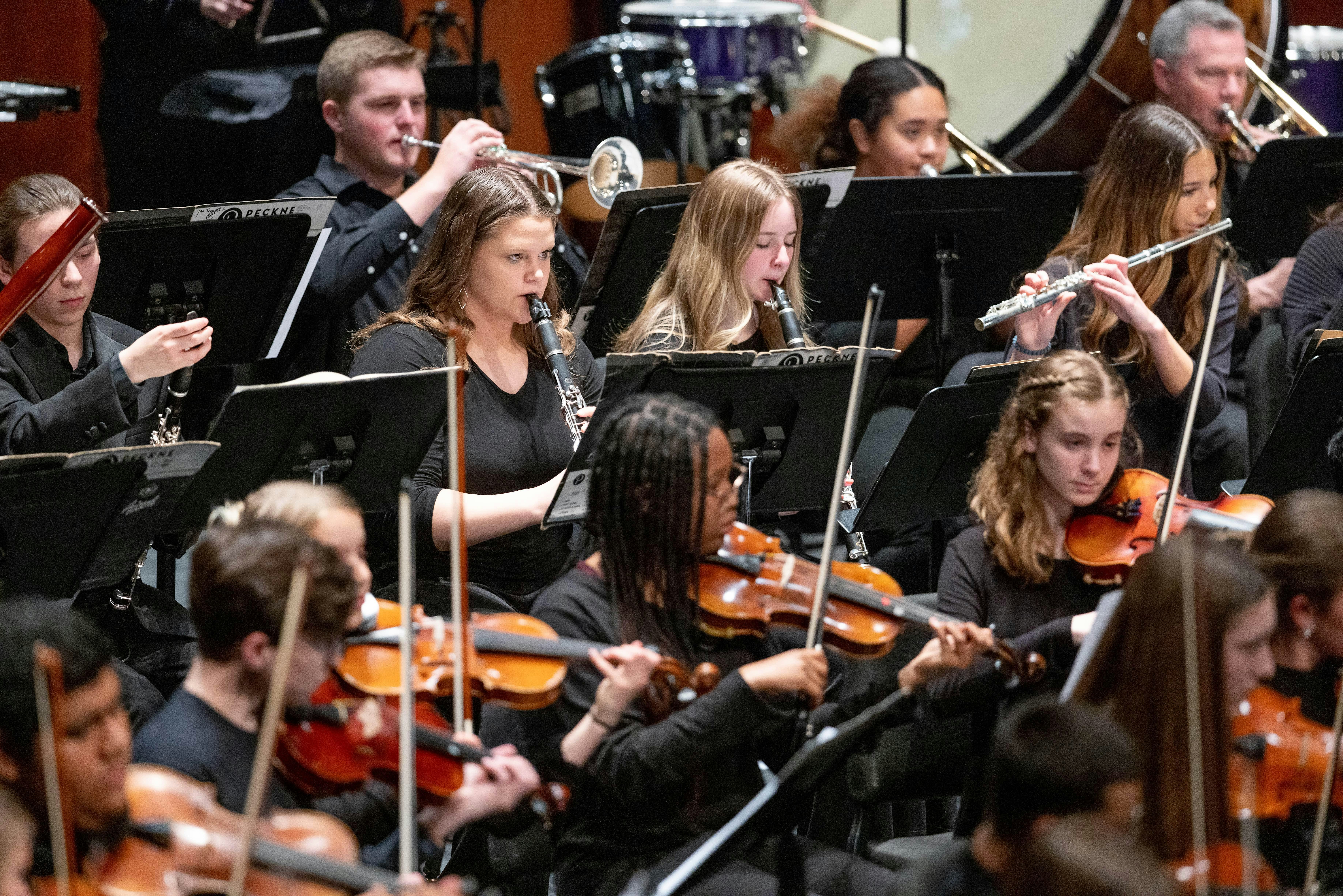 Fall Concert: Greenville County Youth Orchestras – Greenville, SC