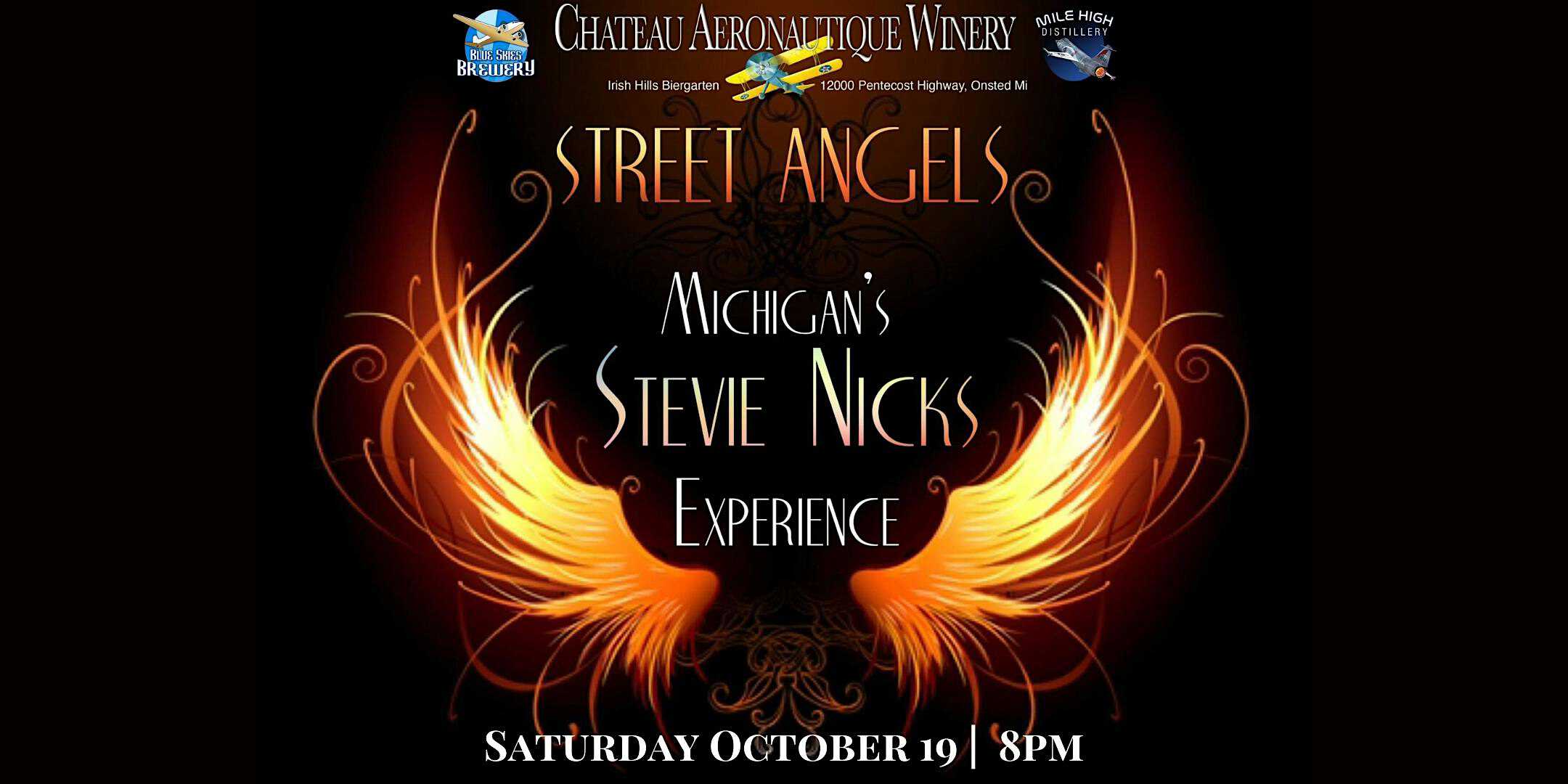 Stevie Nicks Tribute by Street Angel – Onsted, MI