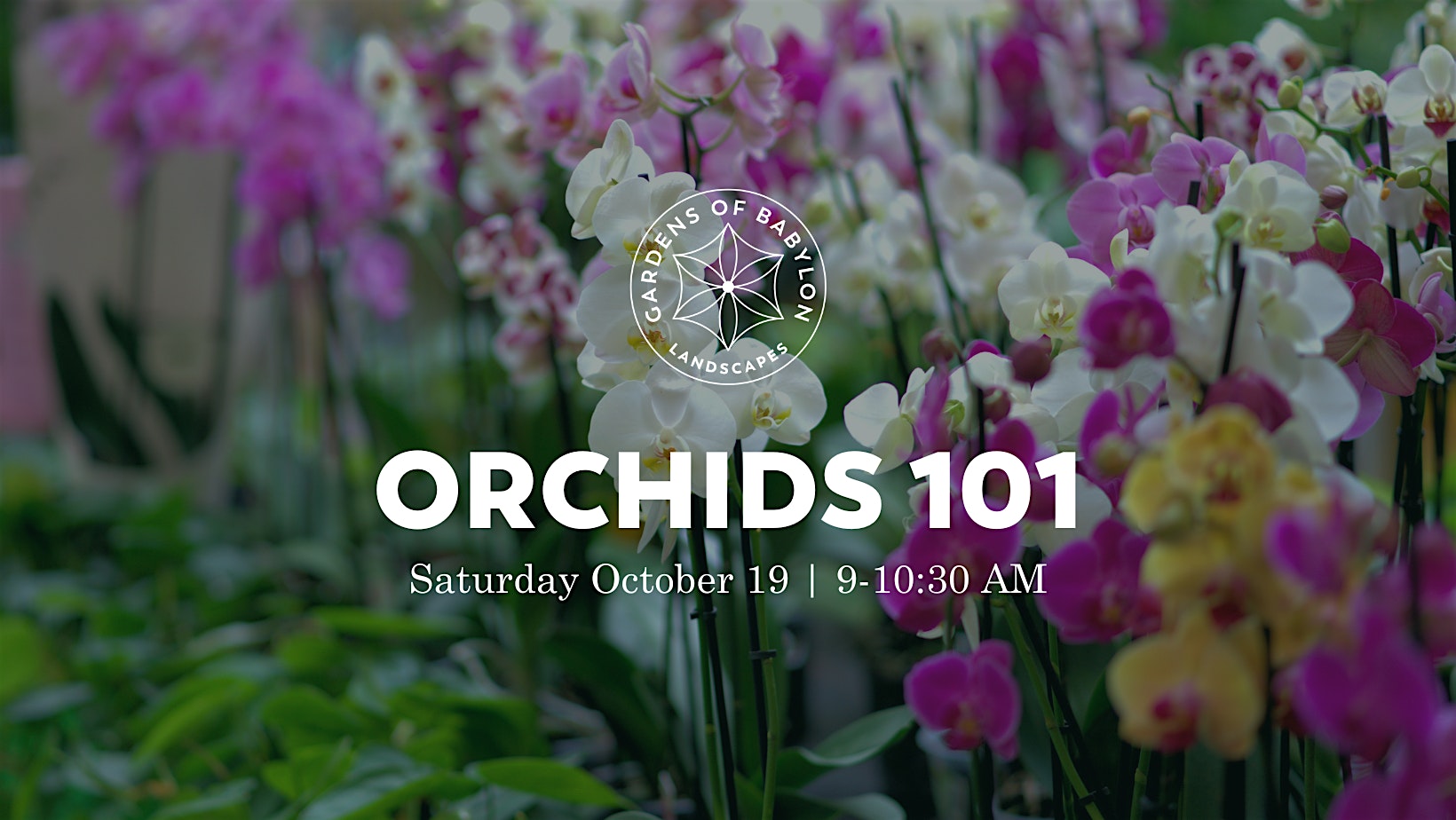 Orchids 101 – Nashville, TN