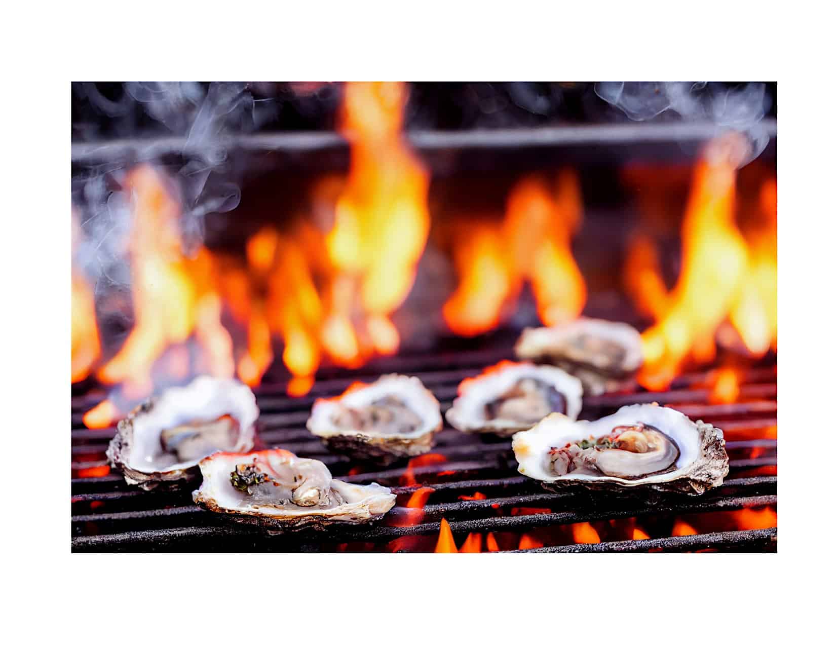 Alston Wilkes Society – 2024 Oyster Roast Fundraiser – Charleston, SC