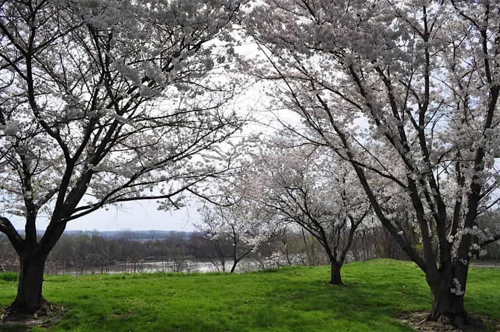 Park Shelter at North Esplanade Park – Dates in October – December 2024 – Leavenworth, KS