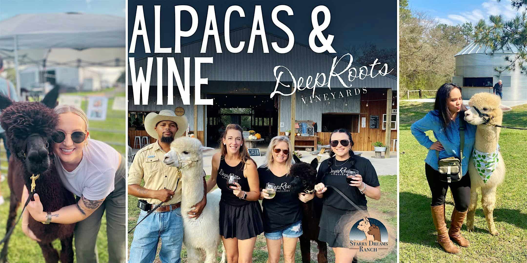 Alpacas & Wine Saturday – DeepRoots Vineyards (OCT. 26th) – Plantersville, TX