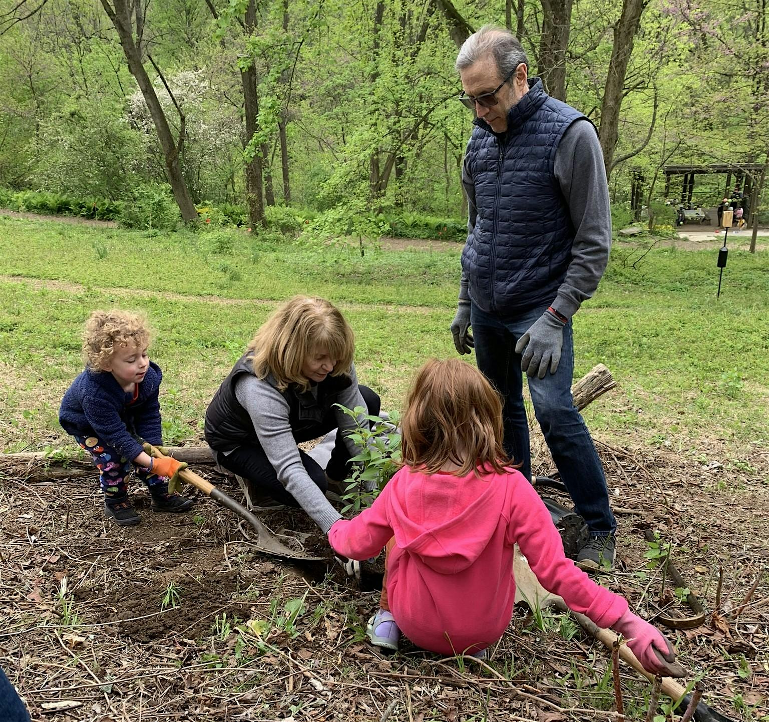 Fall Adopt-A-Tree Tree Planting – Gladwyne, PA