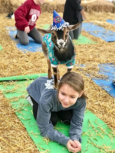 Goat Yoga Nashville- New Year’s Eve Class – Nolensville, TN