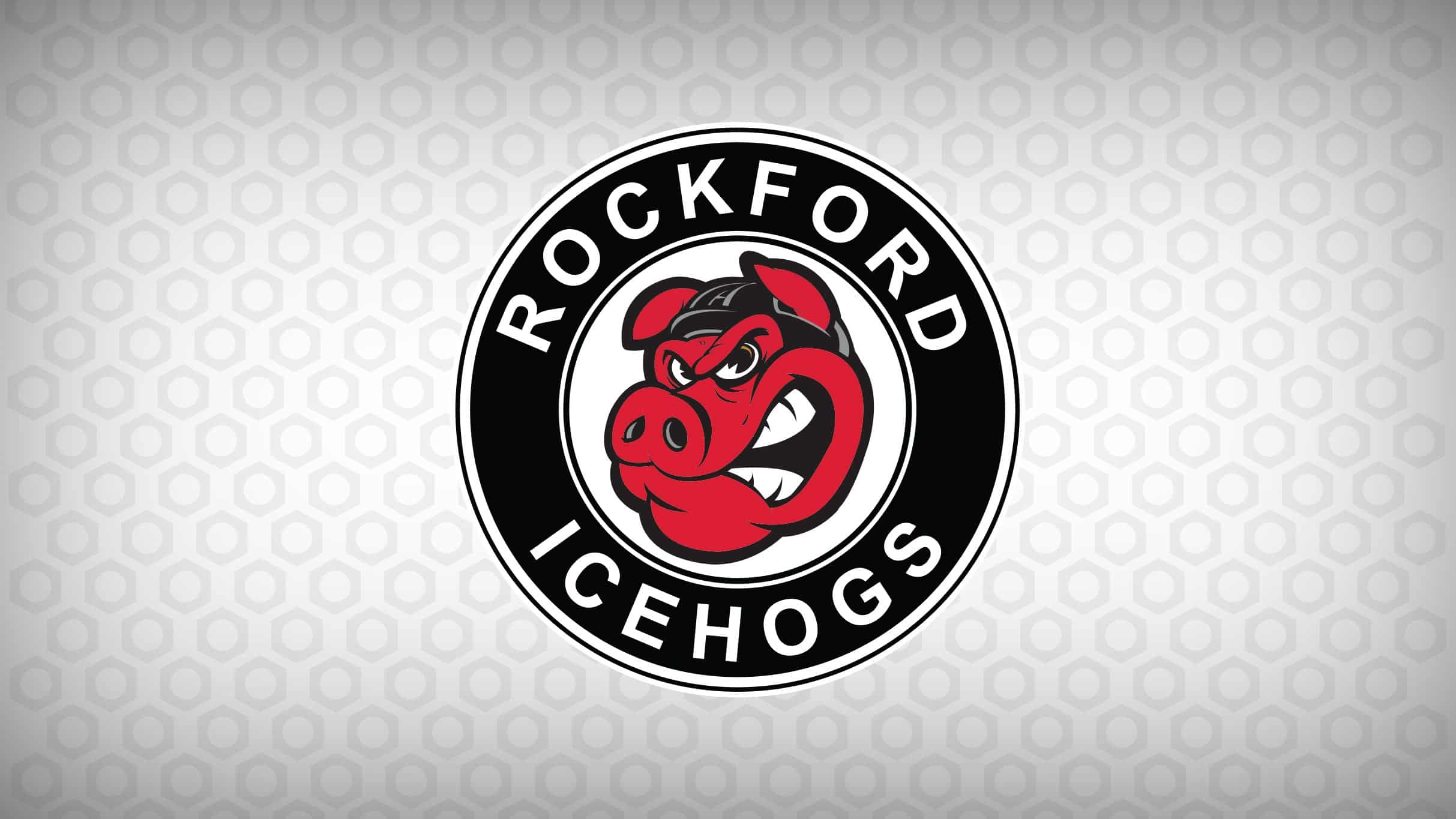 Rockford IceHogs vs. Grand Rapids Griffins at BMO Center – Rockford, IL