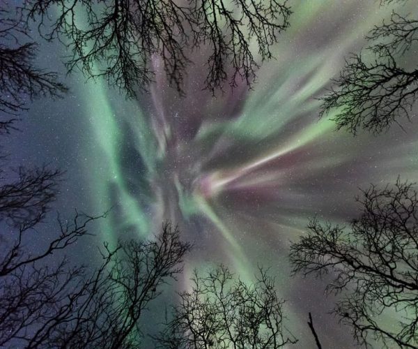 Abisko: Guided Autumn Aurora Chase with Hotel Transfers – Norrbotten County, Sweden