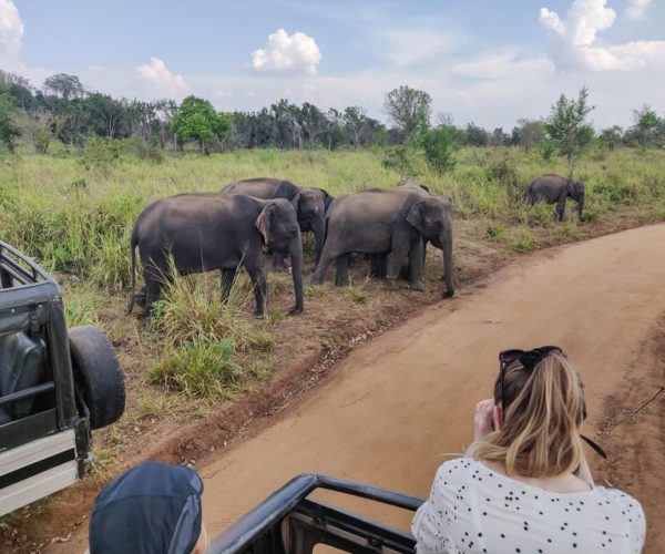 Ahangama: Yala National Park Safari with Hotel Pickup – Hambantota, Sri Lanka