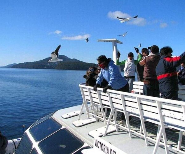 Andean Lakes Crossing Journey from Bariloche to Puerto Varas – Rio Negro, Argentina, Argentina