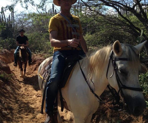 Aruba: 1.5-Hour Horseback Riding Tour to Urirama Cove – Noord, Aruba