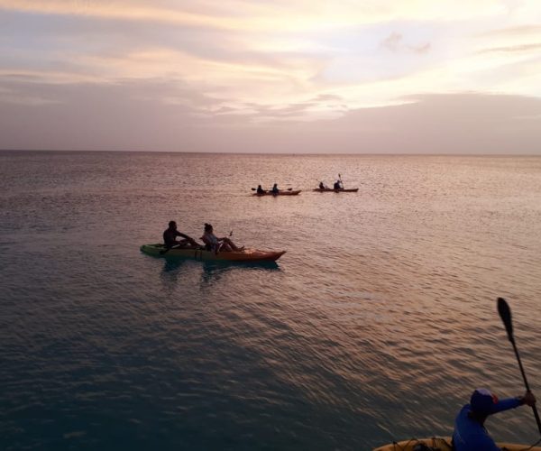 Aruba: Clear-bottom Kayak Guided Night Tour on Arashi Beach – Aruba Region, Aruba