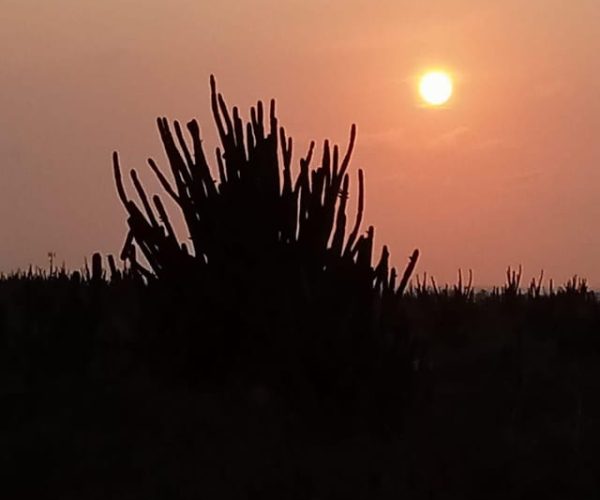 Aruba Sunset Vista Ride – Aruba Region, Aruba