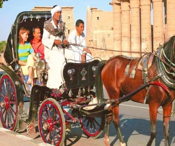 Aswan: Private Horse & Carriage City Tour with Hotel Pickup – Aswan Governorate, Egypt