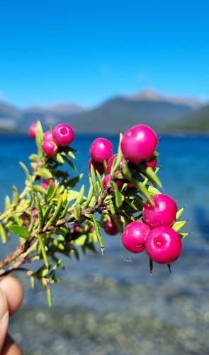 BIG FUEGIAN LAKES OFF-ROAD 4×4 – Tierra del Fuego, Argentina