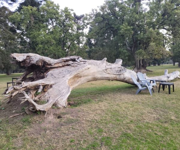 Buenos Aires: Experiencia Est. La Candelaria, Día de Campo. – Buenos Aires, Argentina