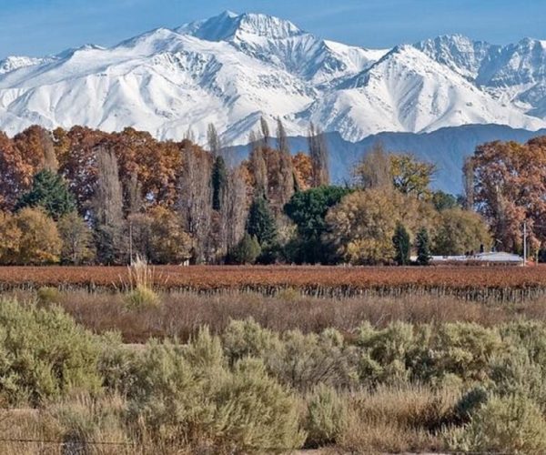 Daytour to Mendoza Wineries – Mendoza Province, Argentina