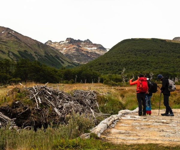 Discover Tierra del Fuego National Park – Tierra del Fuego, Argentina