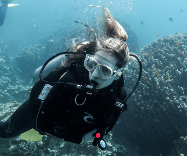 Explore Aqaba’s Depths: Scuba Diving Tour, with Hotel Pickup – Capital Governorate Amman, Jordan