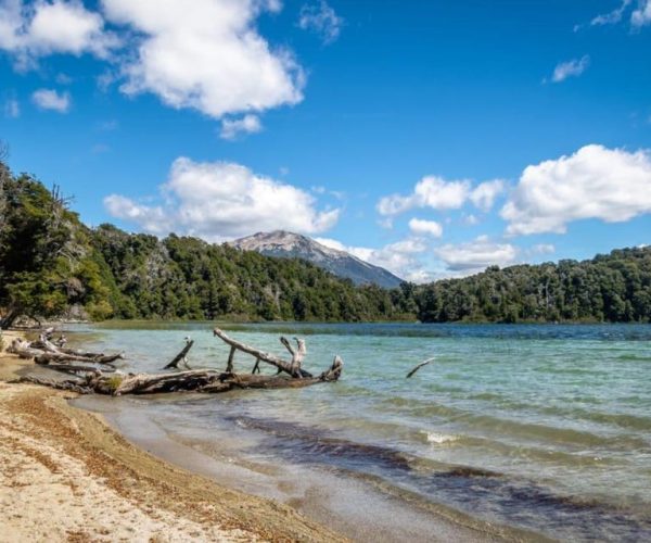 From Bariloche: Victoria Island & the Arrayanes Forest Tour – Neuquen, Argentina