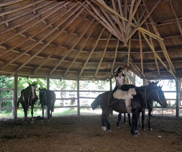 From Buenos Aires: Estancia Don Silvano Tour with Lunch. – Buenos Aires, Argentina