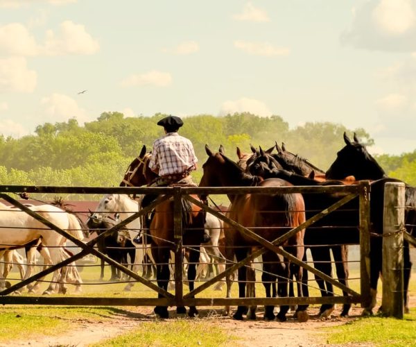 From Buenos Aires: Gaucho and Ranch Day Tour – Buenos Aires Province, Argentina