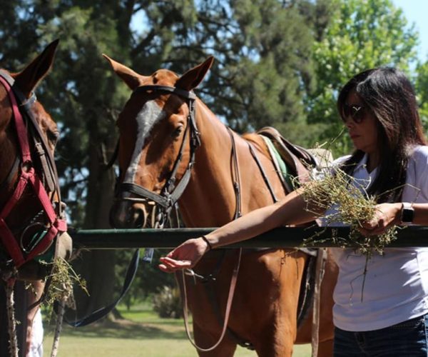 From Buenos Aires: Horseback Riding with BBQ – Buenos Aires Province, Argentina