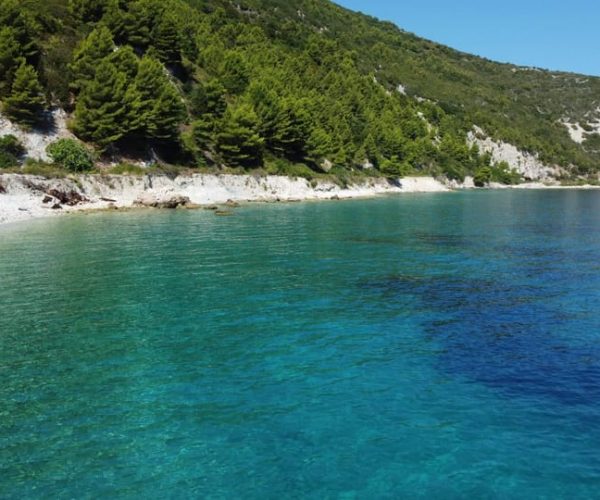 From Durrës/Tirana: Boat Tour in Vlorë – Sazan Island, Albania