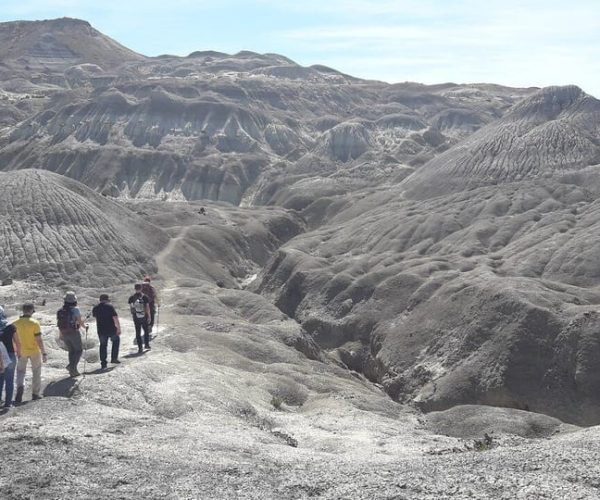 From El Calafate: La Leona Petrified Forest Tour – Santa Cruz Province, Argentina