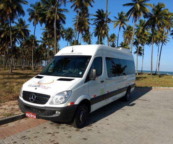 From Porto de Galinhas to Maragogi Hotels Private Transfer – Brazil, Brazil