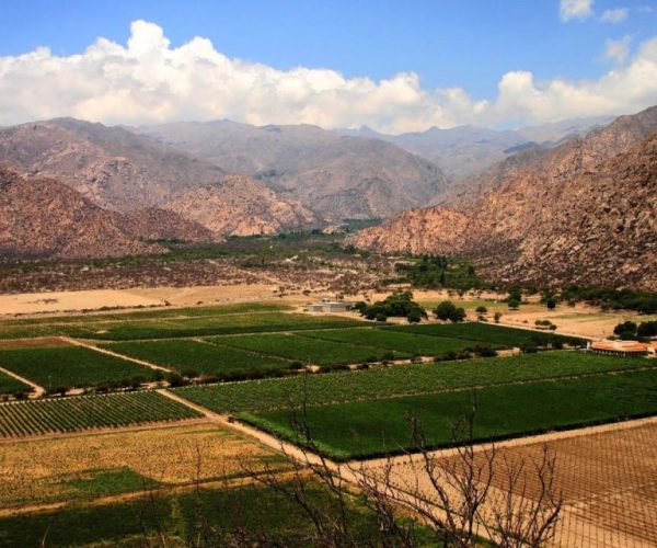 From Salta: Full-Day Wine and Valley Tour to Cafayate – Salta Province, Argentina