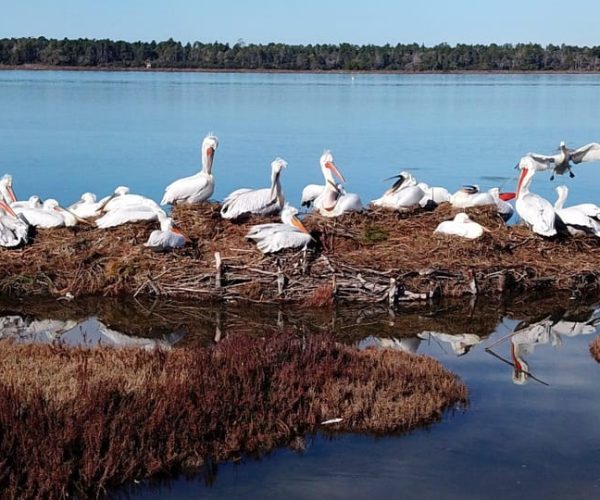 From Tirana/Durrës:Discover Karavasta Lagoon – Karavasta Lagoon, Albania