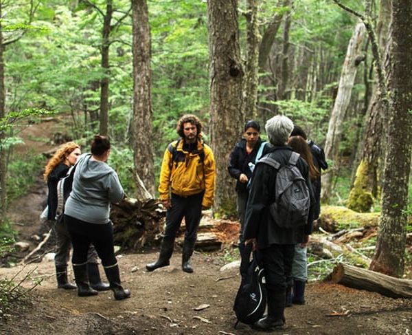 From Ushuaia: Emerald Lagoon Trekking Day Trip with Lunch – Tierra del Fuego, Argentina