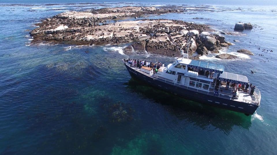 Book your Full Day Private Cape Peninsula and Boulders Beach Tour Experience Today. Discover exciting activities, tours, places to eat, places to stay, and fun things to do in Cape Town, South Africa with PartyFixx.co.