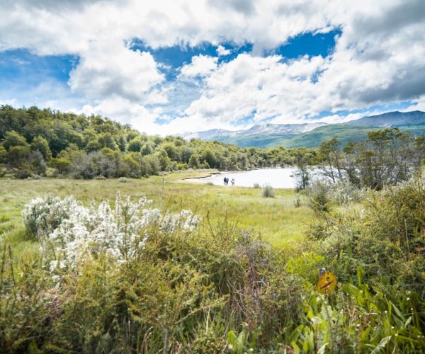 Full day Tierra del Fuego National Park with Train – Tierra del Fuego, Argentina