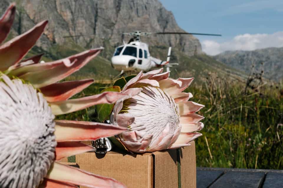 Book your Gin & Tonic on the Mountain Experience Today. Discover exciting activities, tours, places to eat, places to stay, and fun things to do in Cape Town, South Africa with PartyFixx.co.