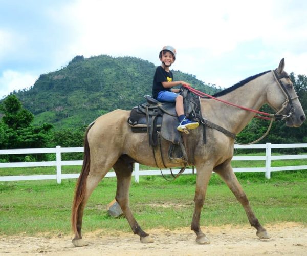 HORSEBACK RIDING MACAO PUNTA CANA WITH PICK UP IN THE HOTEL – Monte Plata Province, Dominican Republic