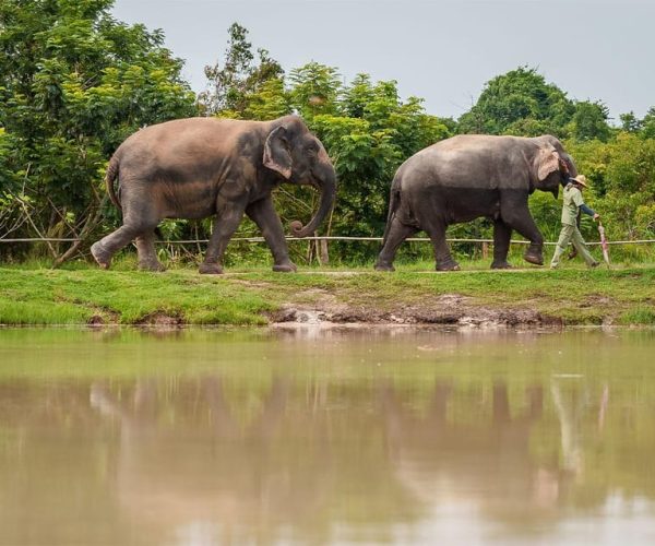 Kulen Elephant Forest Tour with Hotel Pick-up & Drop off – Siem Reap Province, Cambodia