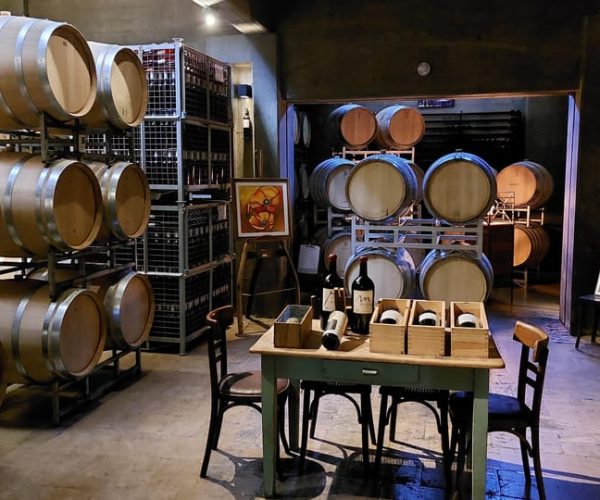 Mendoza Bodega Tempus Alba + Trapiche + Transfer incluido – Mendoza, Argentina