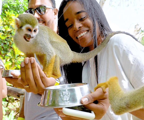 Monkeyland experience + Lunch and transportation – Monte Plata Province, Dominican Republic