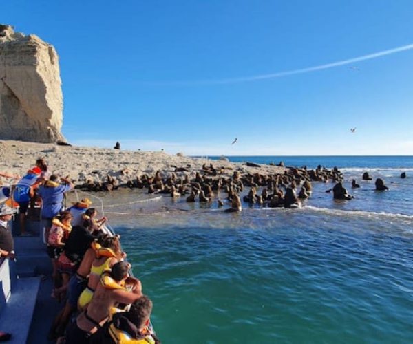 Patagonia: Peninsula Valdes Whale Watching – Chubut Province, Argentina