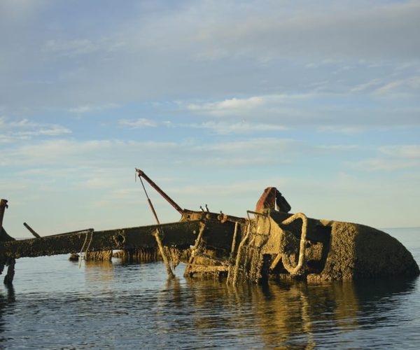 Península Valdés: Historical and Nature Boat Tour Pto.Madryn – Chubut Province, Argentina