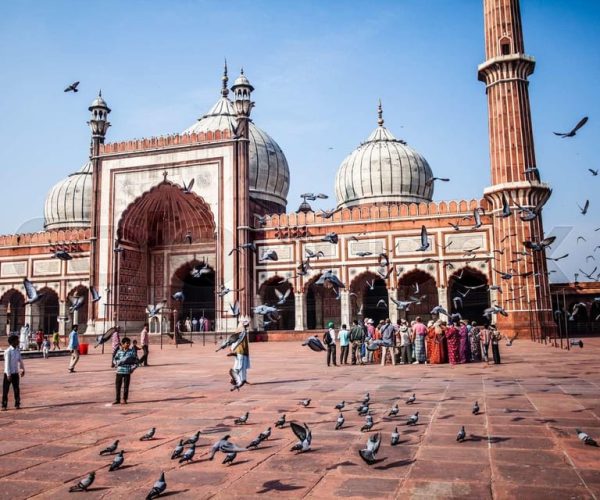 Private 3 Days Golden Triangle Tour With Hotels From Delhi. – Haryana, India