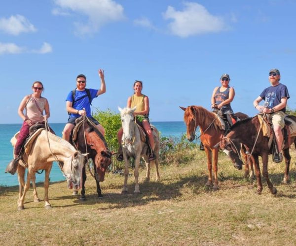 Punta Cana: 1 Hour of Horseback Riding With hotel pickup – Monte Plata Province, Dominican Republic