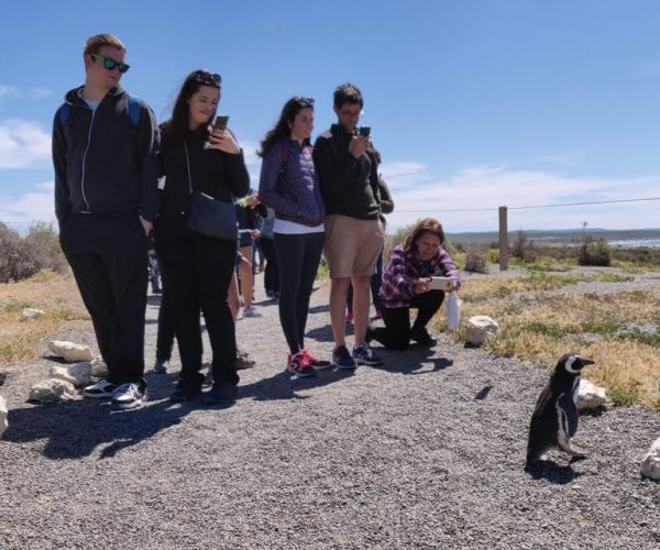 Punta Tombo Shore Excursion Box lunch and Tickets Included – Chubut, Argentina