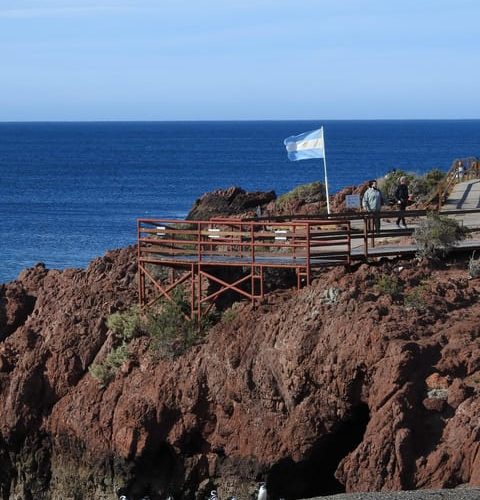 Punta Tombo with Puerto Madryn Shore Excursions Tours – Chubut Province, Argentina