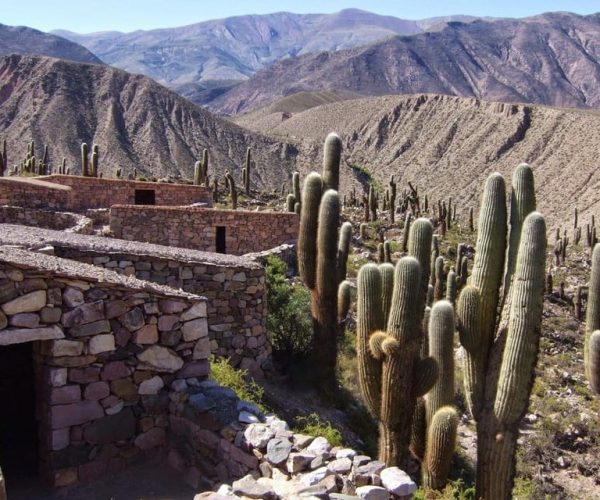 Salta: Quebrada de Humahuaca and Purmamarca Day Trip – Salta Province, Argentina