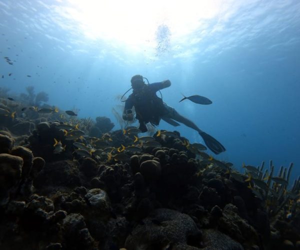 San Andres: SCUBA Diving Experience with Hotel Pickup – San Andrés Island, Colombia